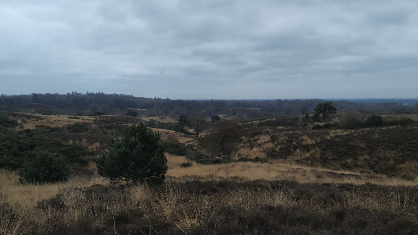 Uitzicht vanaf de Posbank Uitzicht vanaf de Posbank