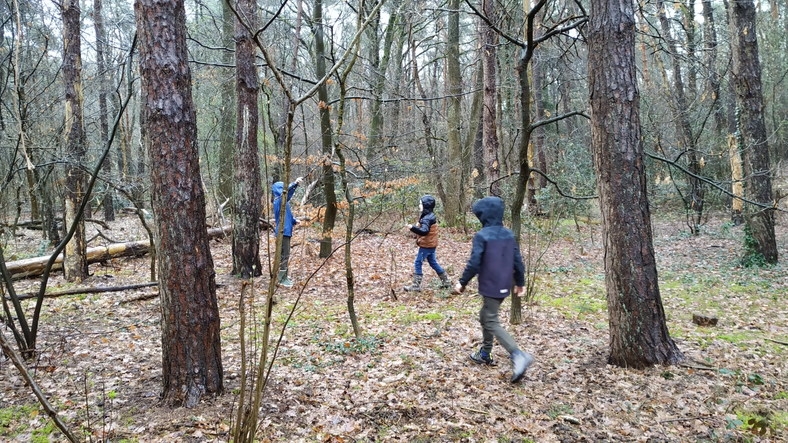 Hutten schieten en pijlen bouwen Hutten schieten en pijlen bouwen