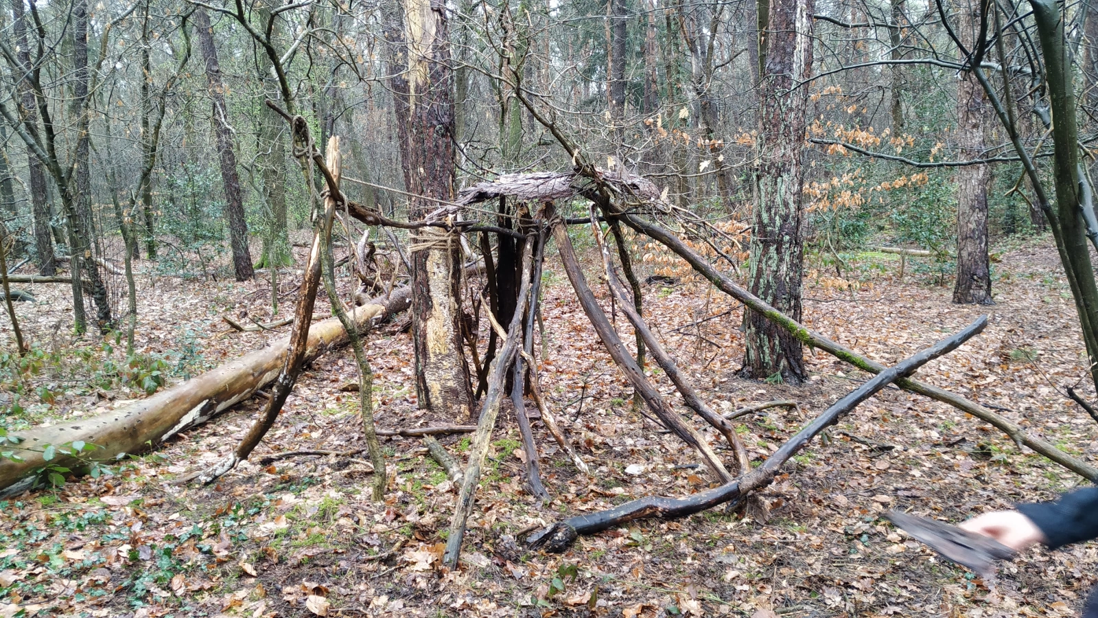 Hutten schieten en pijlen bouwen Hutten schieten en pijlen bouwen