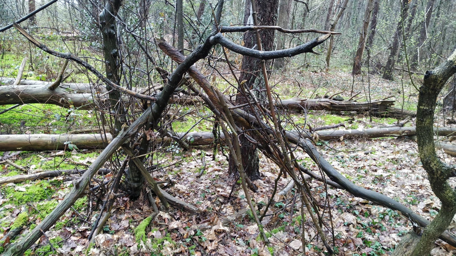 Hutten schieten en pijlen bouwen Hutten schieten en pijlen bouwen