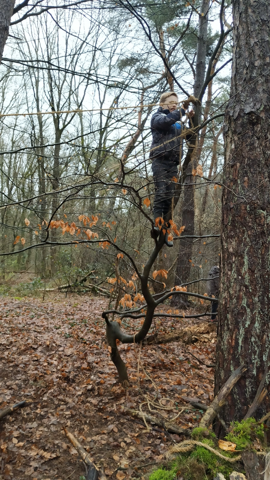 Hutten schieten en pijlen bouwen Hutten schieten en pijlen bouwen