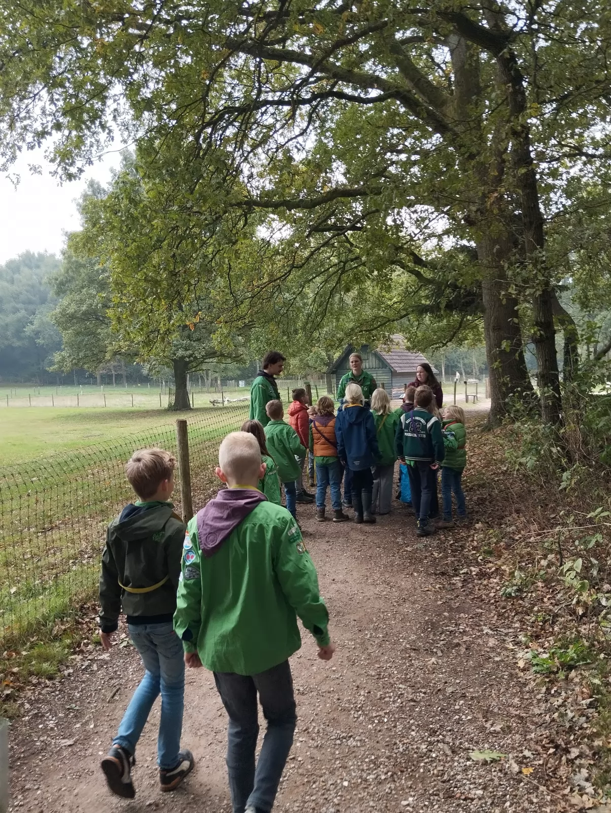 Water filteren en stamboom maken Water filteren en stamboom maken