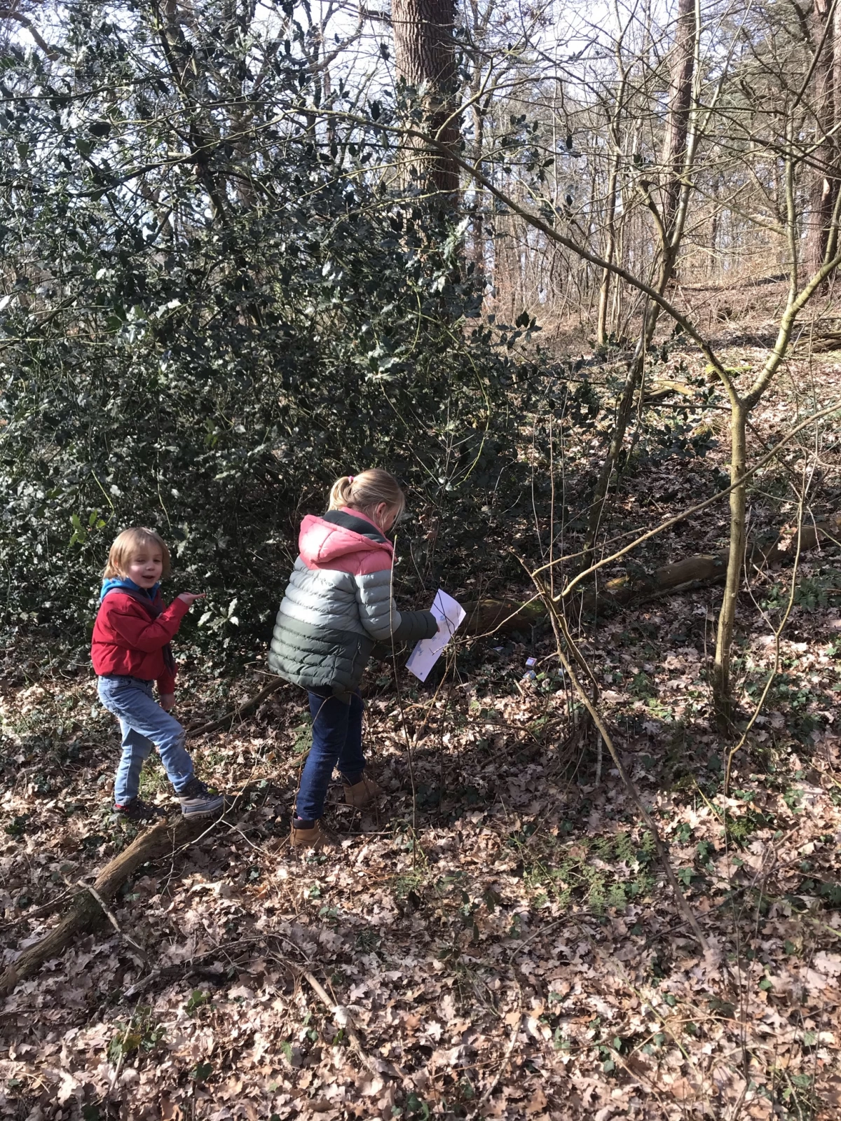 schat zoeken schat zoeken