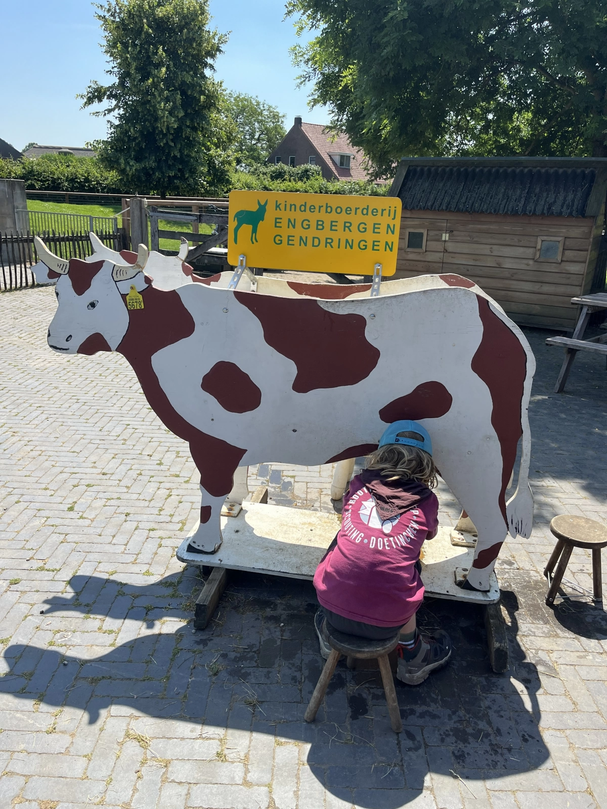 Het mysterie van de boerderij