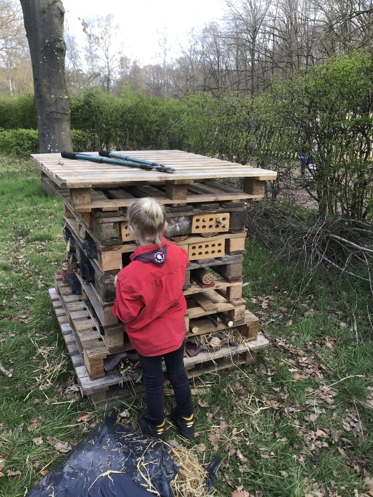 Bas Bos Badge Bas Bos Badge