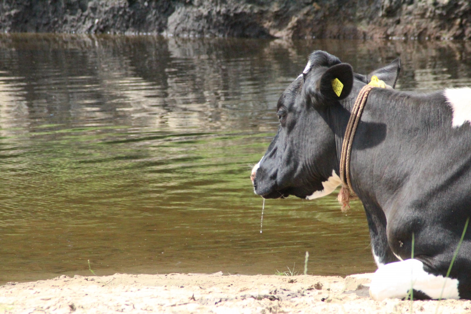 Zomerkamp 2017 Eerde Zomerkamp 2017 Eerde