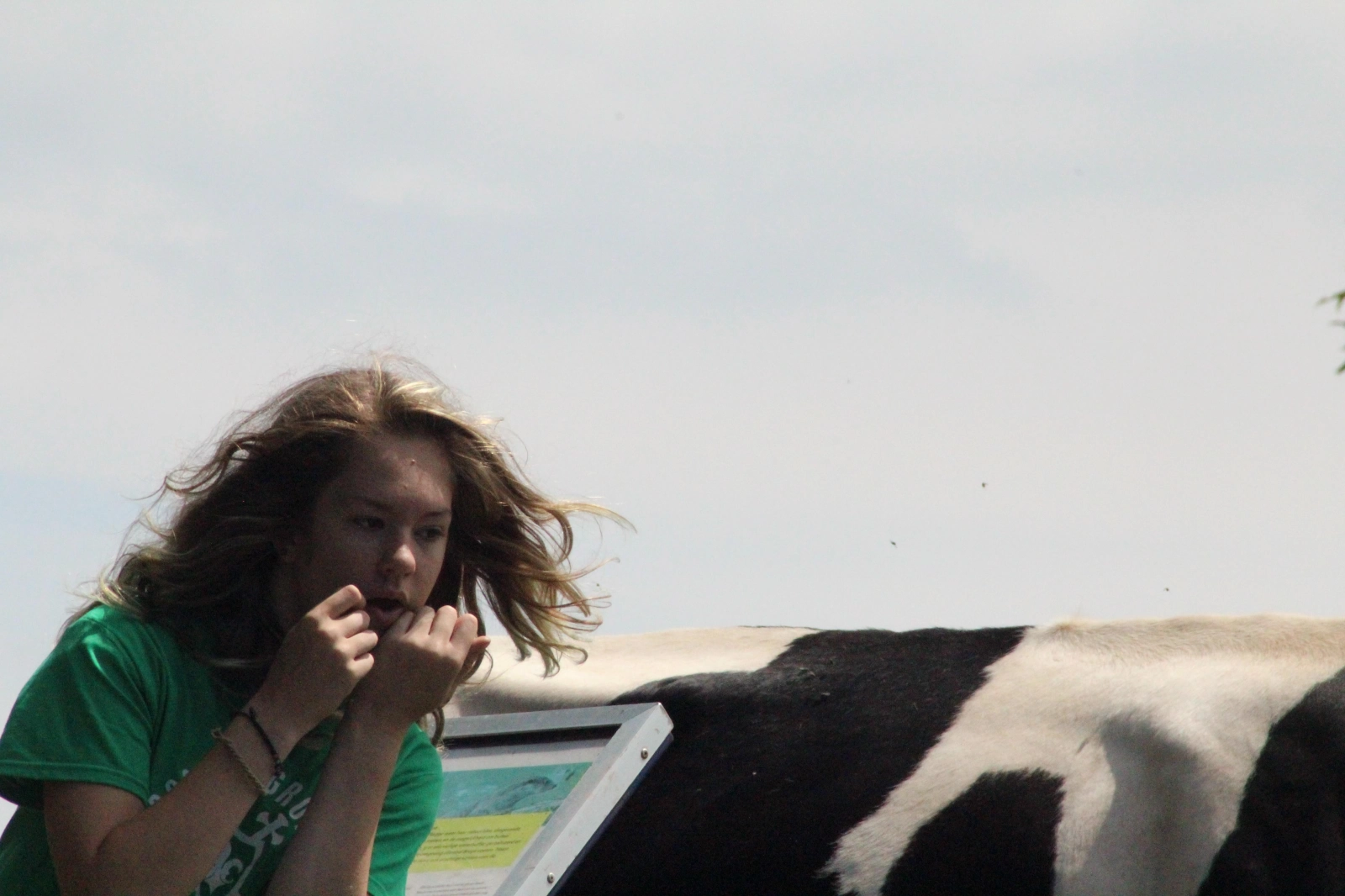 Zomerkamp 2017 Eerde Zomerkamp 2017 Eerde