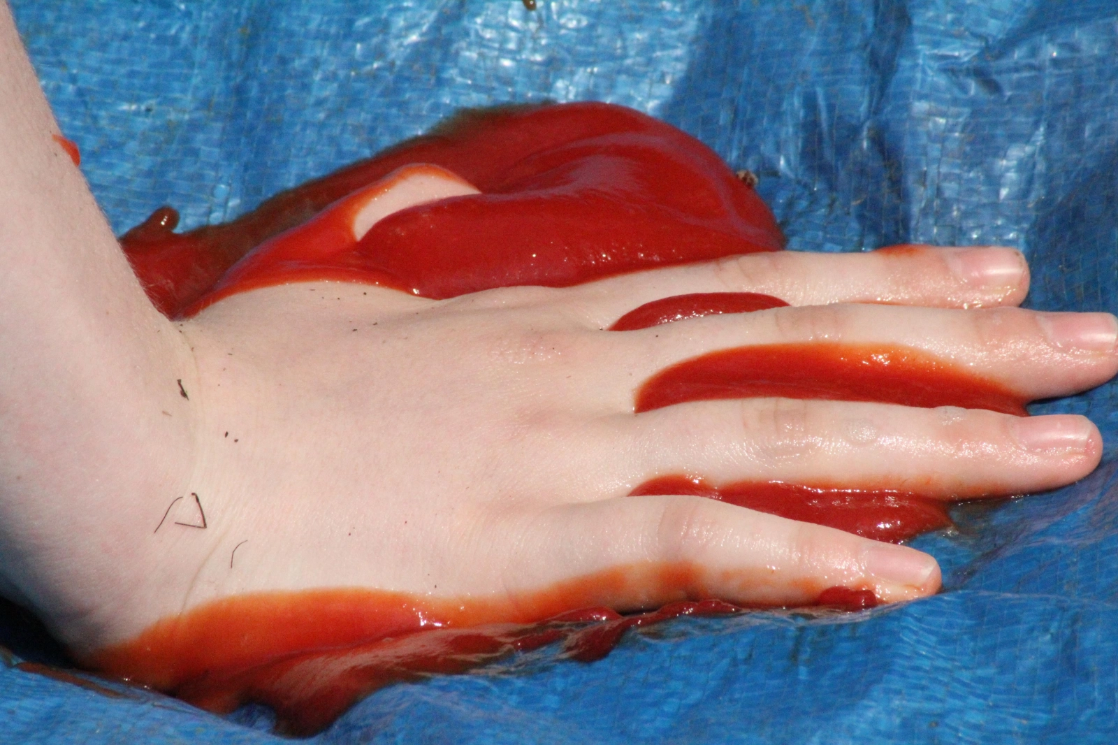 Zomerkamp 2017 Eerde Zomerkamp 2017 Eerde