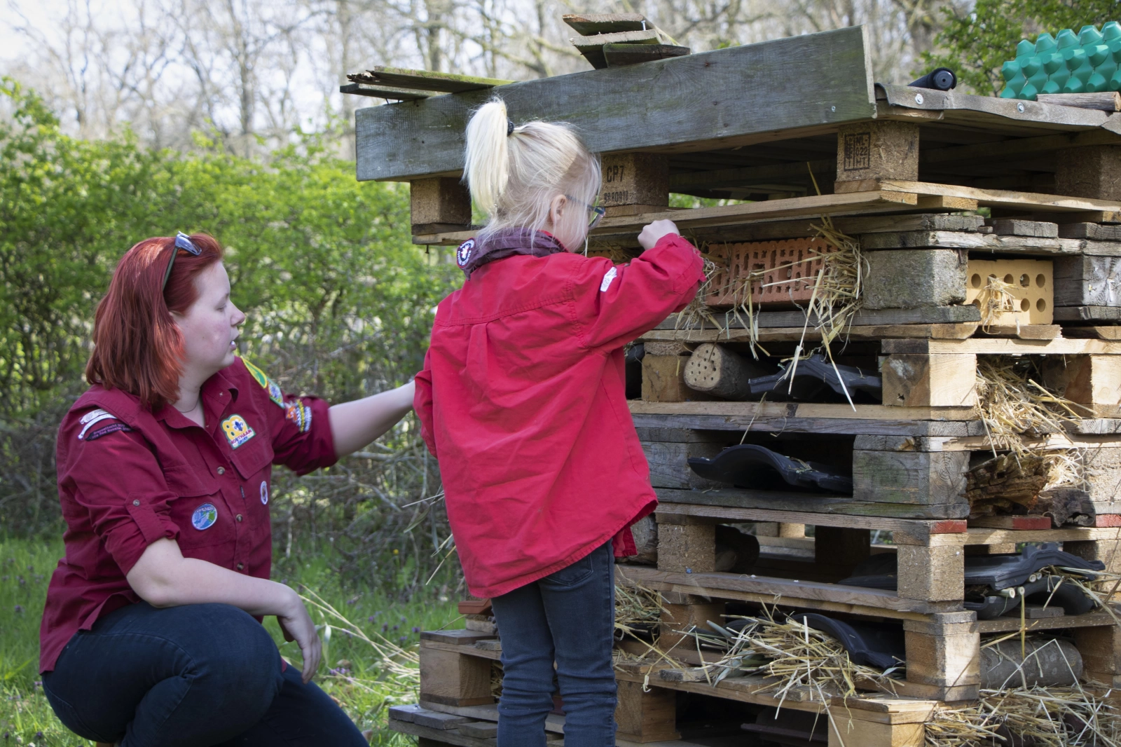 Bas Bos Badge Bas Bos Badge