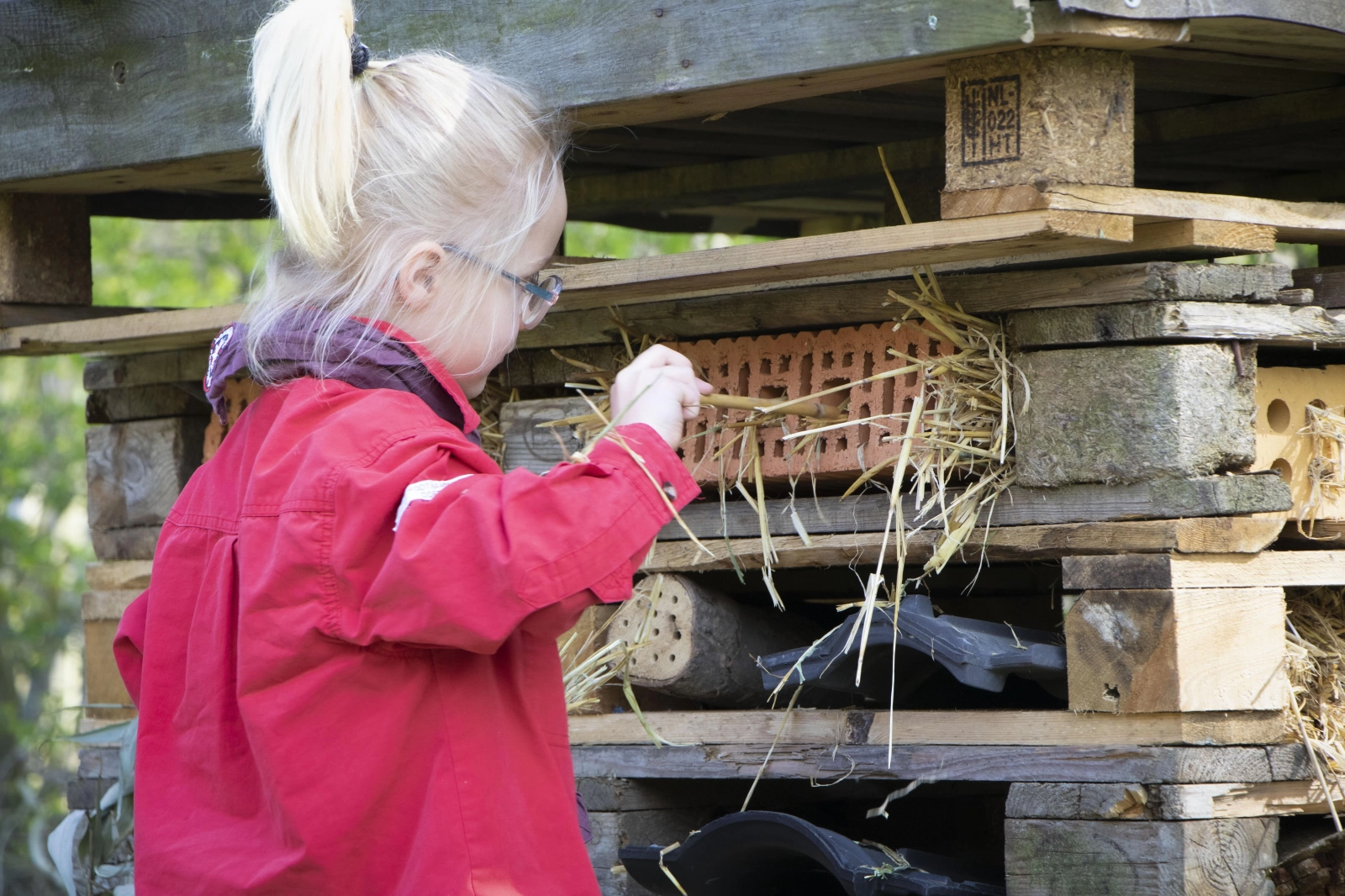 Bas Bos Badge Bas Bos Badge