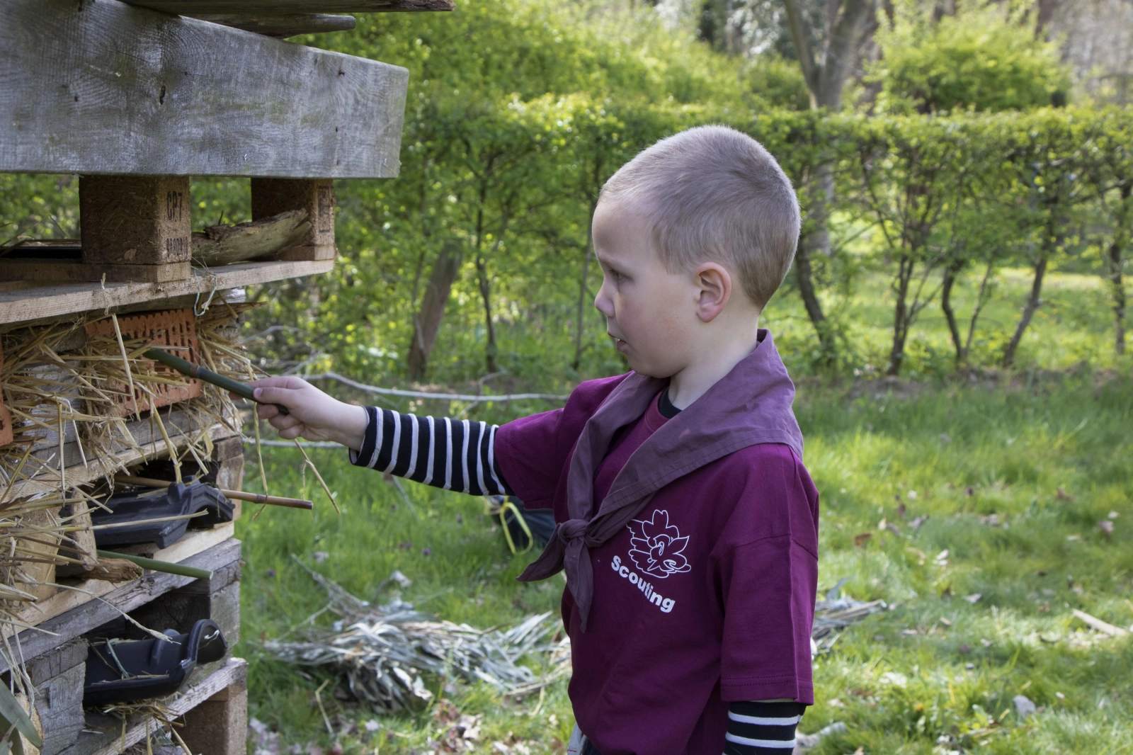 Bas Bos Badge Bas Bos Badge