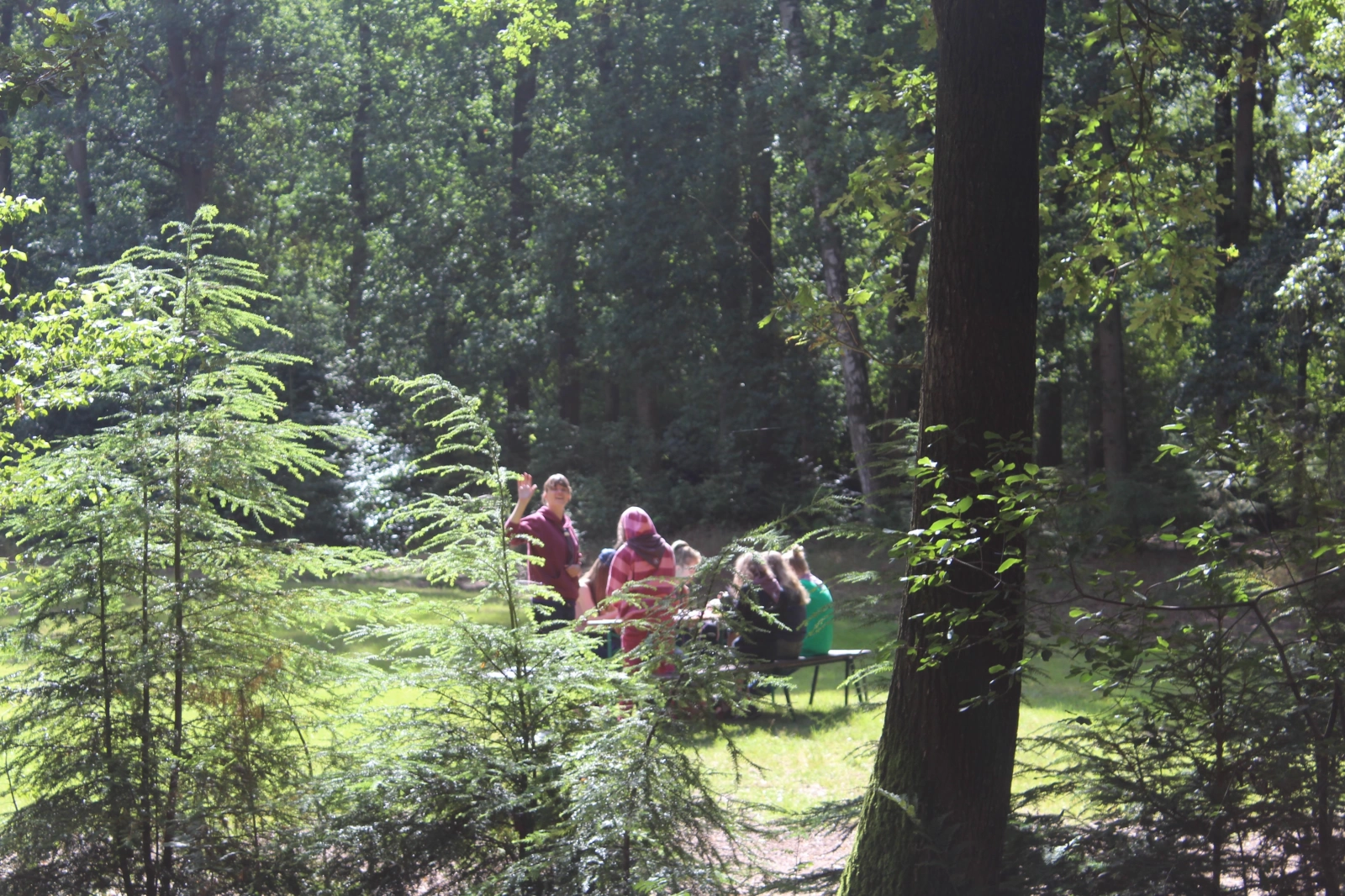 Zomerkamp 2017 Eerde Zomerkamp 2017 Eerde