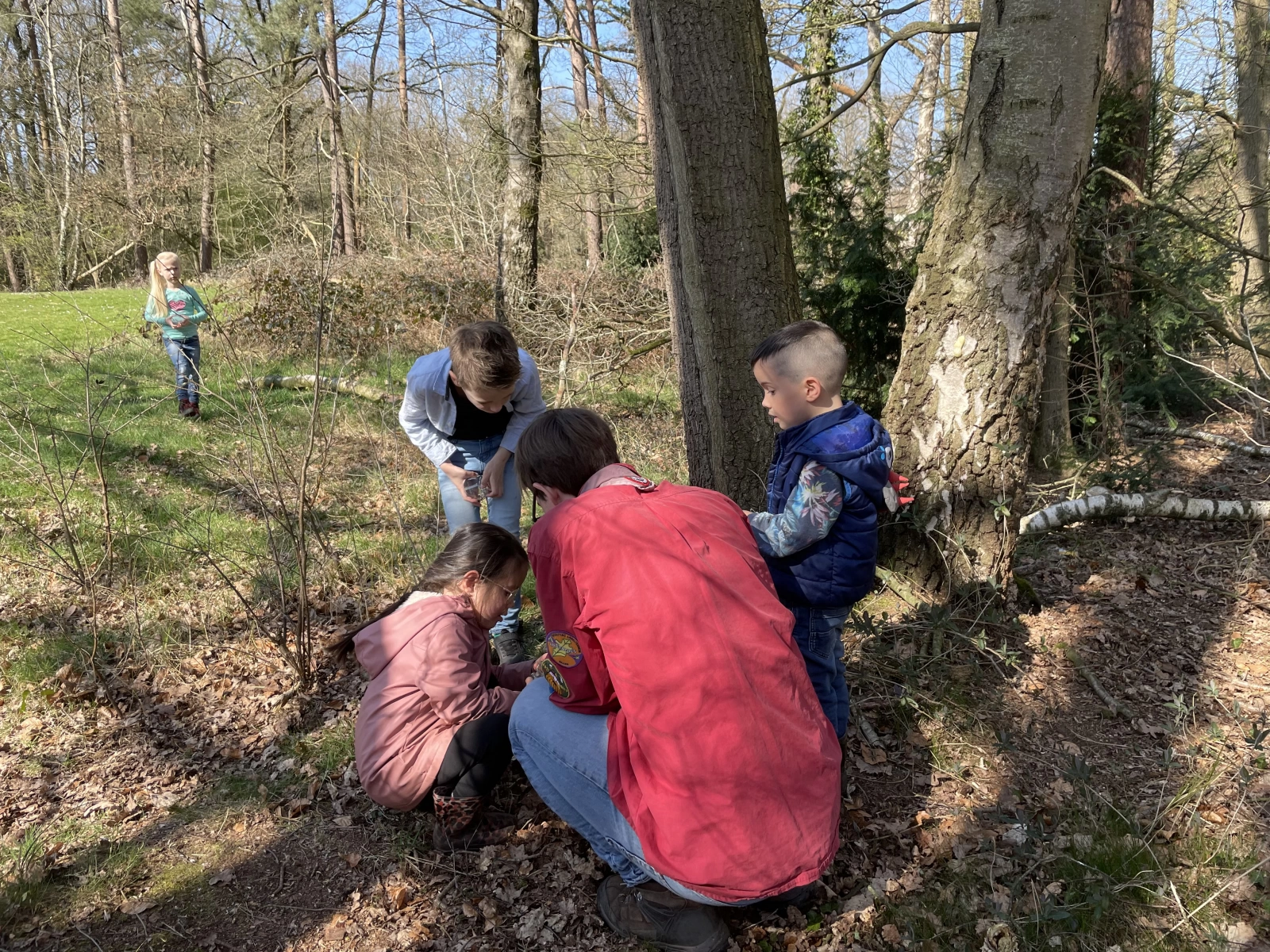 De lente is begonnen