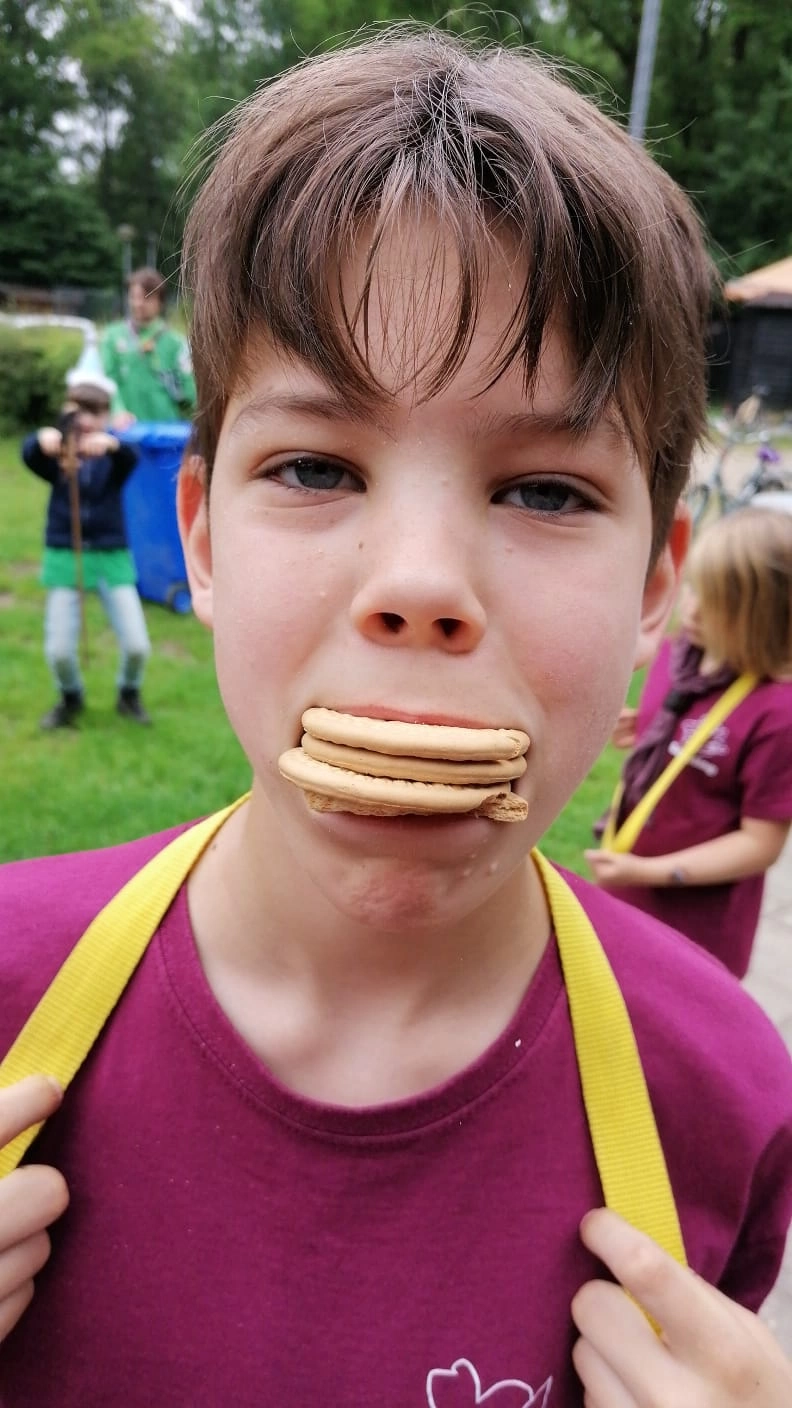 hamsteren 2 hamsteren 2