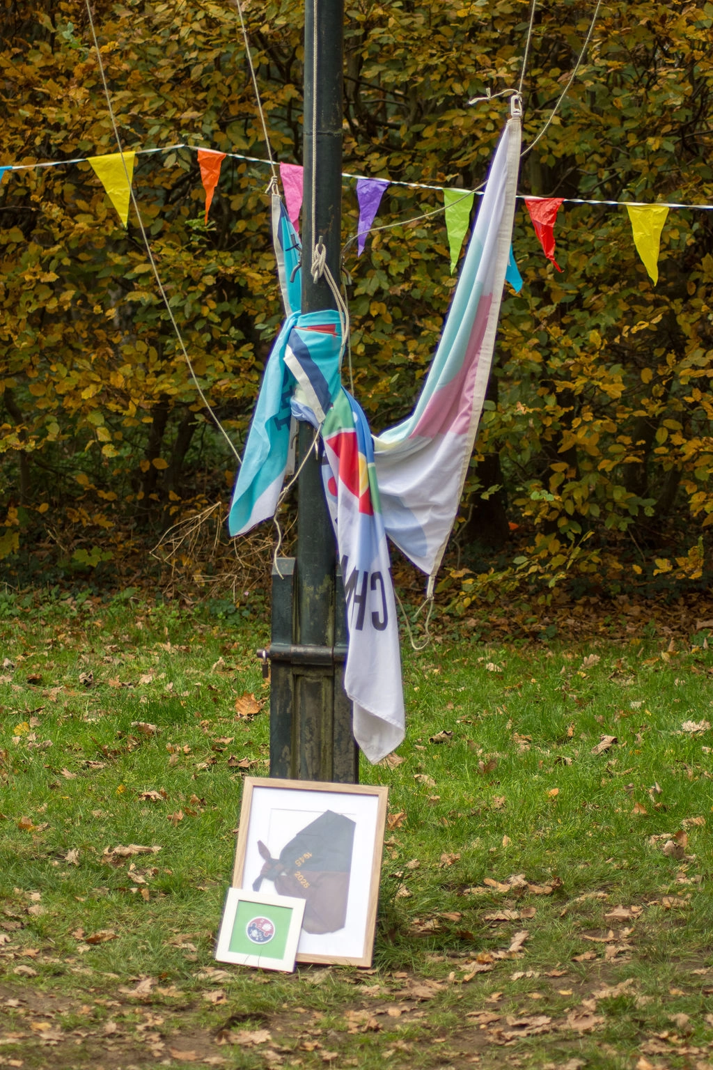 Scouting Graaf Ottogroep en Roothaangroep gaan samen verder!