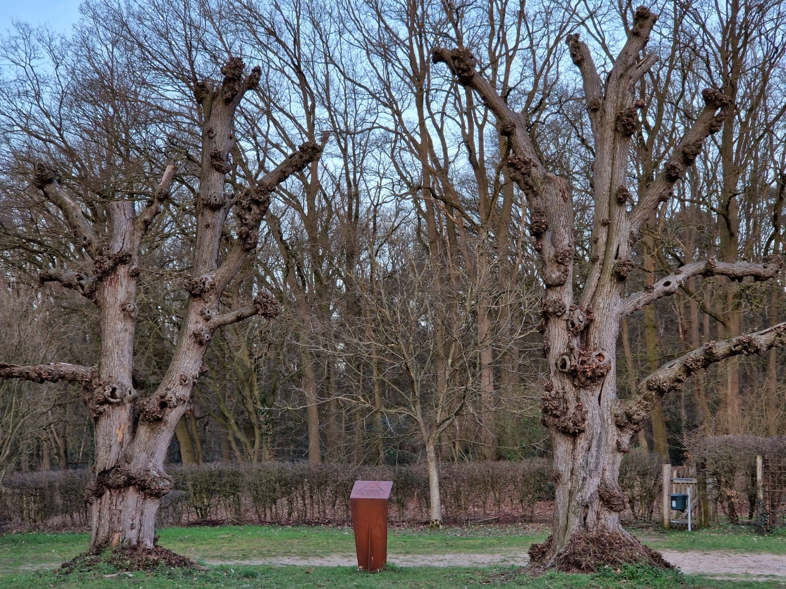 Jantje Beton / NL Doet