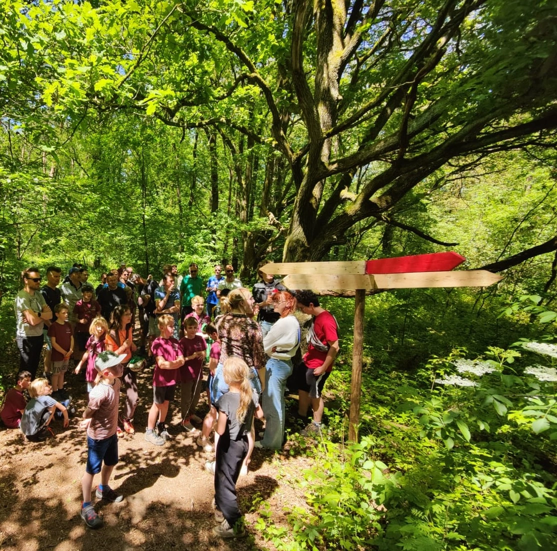 Heb je wel gehoord van de zeven...