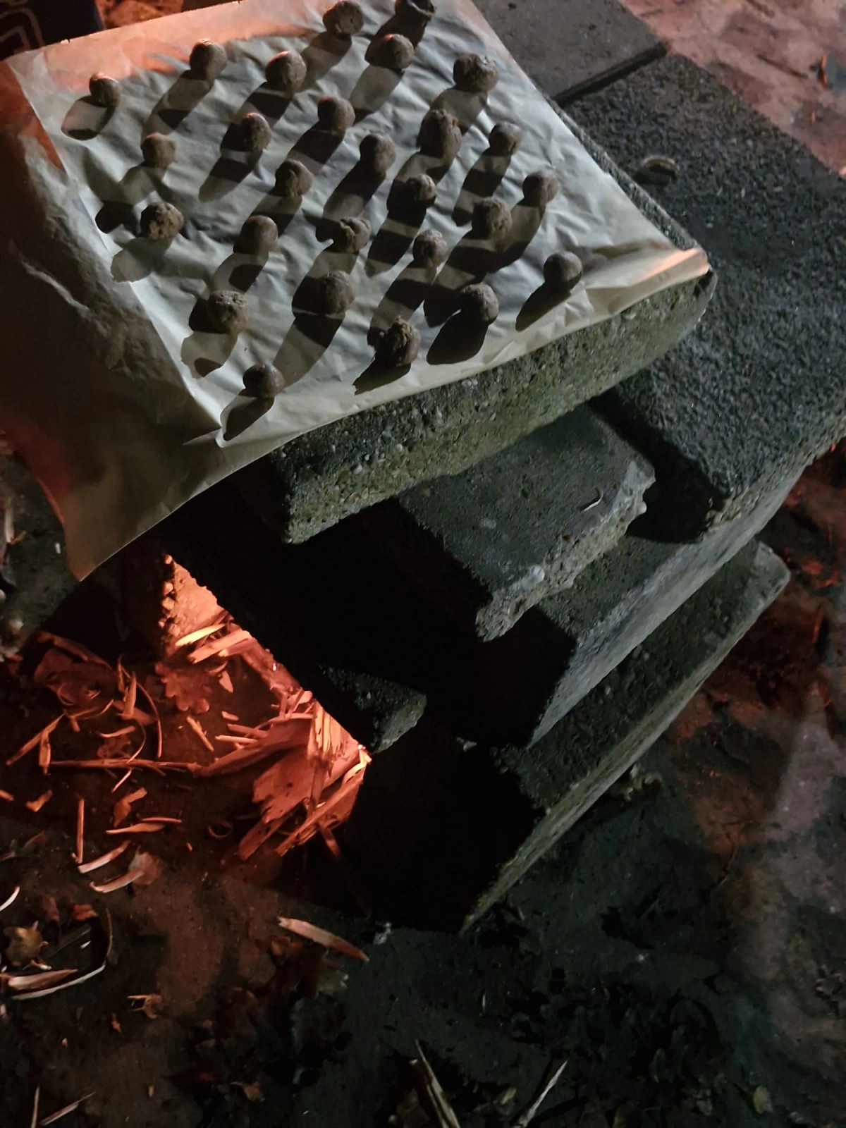 Sinterklaas opkomst Sinterklaas opkomst