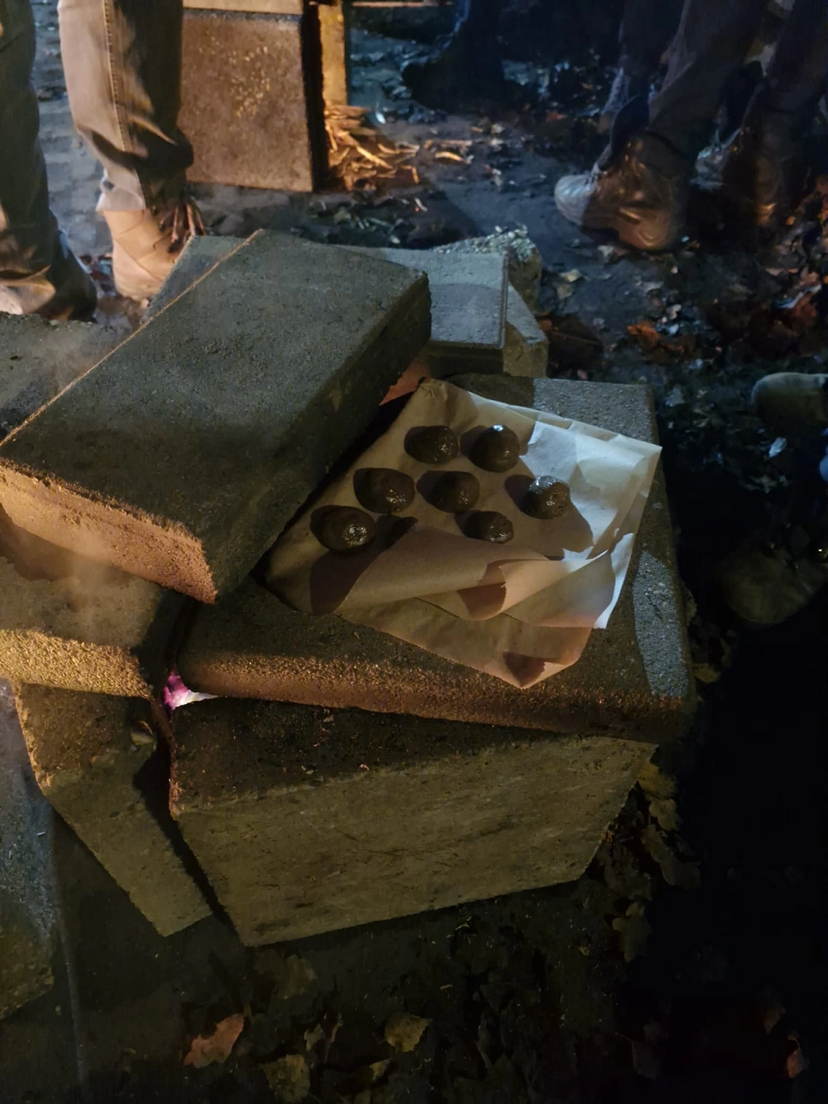 Sinterklaas opkomst Sinterklaas opkomst