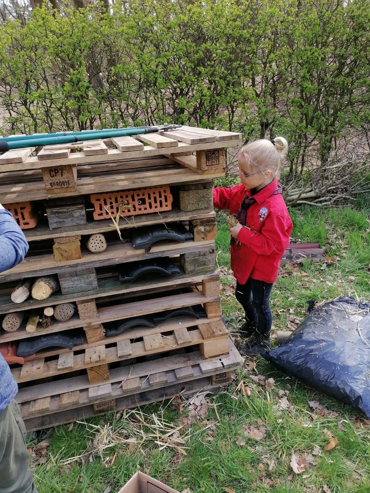 Bas Bos Badge Bas Bos Badge