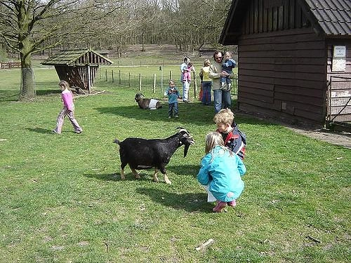 De kinderboerderij