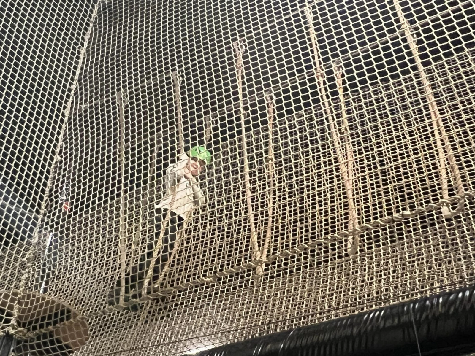 Met de welpen naar Skyzone!