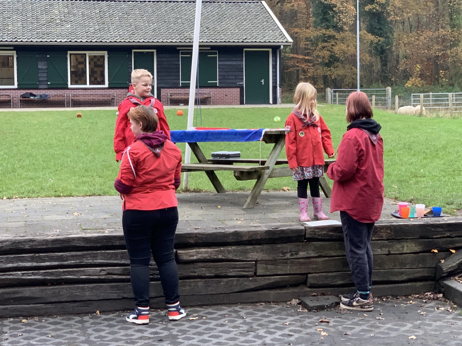 Installatie Installatie