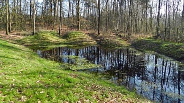 Een van de vennen in het bos