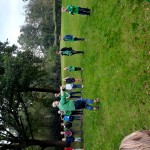 Wat een hoop welpen! Wat een hoop welpen!