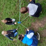 Wat een hoop welpen! Wat een hoop welpen!