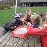 Bas Bos Badge Bas Bos Badge