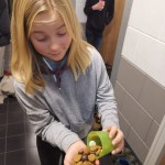Een pepernotenbende bij de Scouts Een pepernotenbende bij de Scouts